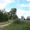 Apple Grove Lane