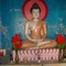 budha vihar mohanpuri