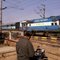 Train at railway crossing, Haddi Toli, Gondia
