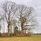 VIRGINIA: ISLE OF WIGHT COUNTY: ruined house at the forest verge vertical