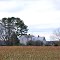 VIRGINIA: ISLE OF WIGHT COUNTY: large overgrown farmhouse