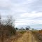 VIRGINIA: ISLE OF WIGHT COUNTY: a view up the old Mill Swamp Road (private) toward Sycamore Cross Drive and the Sycamore Cross complex