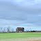 VIRGINIA: ISLE OF WIGHT COUNTY: IVOR: ruined house as seen from Mill Swamp Road