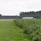 VIRGINIA: SURRY COUNTY: Beaver Dam Airpark Airport: view from the west end of the runway toward the hangar