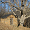 Lower Bremo Smokehouse