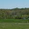 Wolf Hollow Road