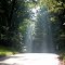 Sunlight - Potomac, Maryland