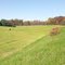 Blueridge Parkway fall 2011