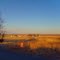 Farm Landscape - Caroline County, VA.