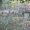 Graveyard - King George, VA