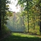 The Path