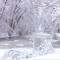 Winter Scene.  Looking Glass River, Watertown Twp, Michigan