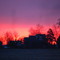Wacousta winter morning