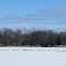 Geese are resting on thick ice of Lake Geneva