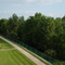 Silver Palm Drive - back yard