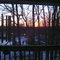 Sunrise from my Balcony