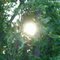The Splendor of Nature: the power of light