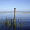 Lake Tohopekaliga