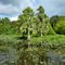 Lake Tohopekaliga, Boggy Creek