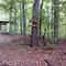 Trails