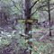 Trail Intersection