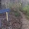 The AT just south of Black Horse Gap