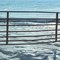 fenwick snow gate