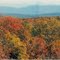 potts autumn