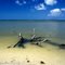 Fort Myers Beach