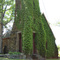 Rehoboth Mennonite Church