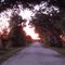Farabee Road at sunset