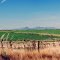 Sutter Buttes from Hwy 162