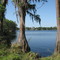 'Pretty Lake'  Hutchison Rd  Lutz Tampa