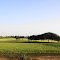 An agriculture field