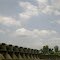 Palkhed Dam nr Dindori, Nashik, Maharashtra, India by Suresh Joshi
