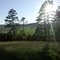 Ashby, VA
