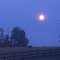 Spring Moon