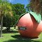 The Eau Gallie Orange