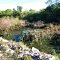 Small Creek and Swamp Next to Road/Trail