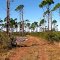 White Blazed Road/Trail View