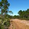 White Blazed Road/Trail View