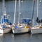 Véro Beach-3 MOUSQUETAIRES