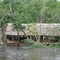 Casa warao en el Orinoco