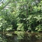 Caño del delta del Orinoco