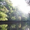 Caño du delta de l'Orénoque