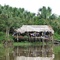 Habitation Warao dans le delta de l'Orénoque