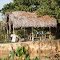 Indian house along the Río Guanipa