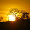 F.B.Amanecer en Camatagua.