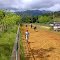 manga de coleo valle morin 2