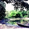 Caripito. Rio San Juàn. (marea baja).